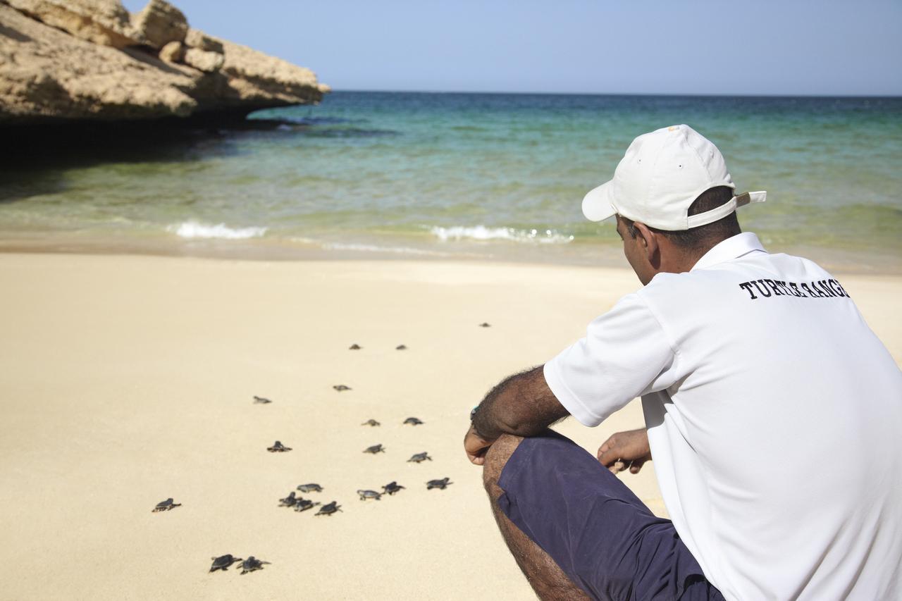 Shangri-La Al Husn, Muscat - Adults Only Resort Esterno foto Sea turtle release at Ras Aljinz